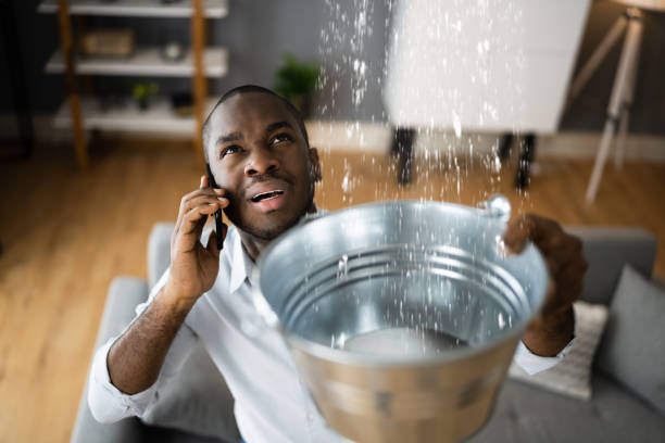Best Flood restoration services  in Gramercy, LA