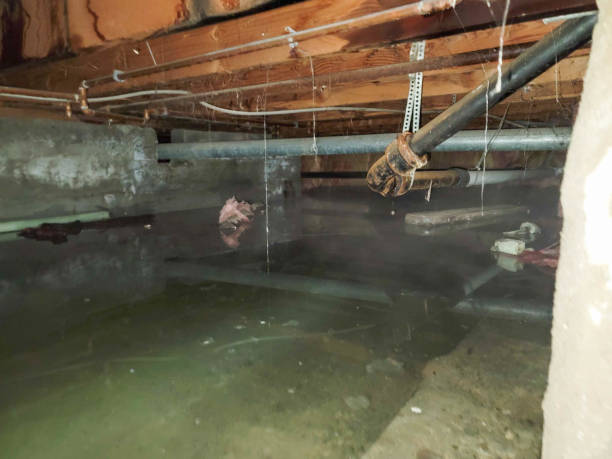 Sewage cleanup and water damage restoration in LA