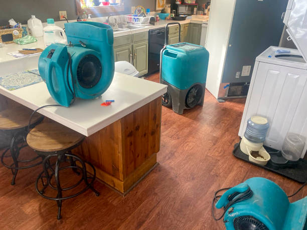 Best Basement water damage restoration  in Gramercy, LA