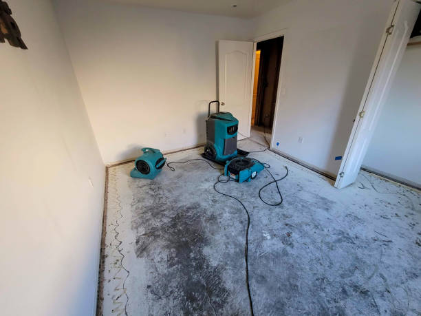 Best Professional water damage repair  in Gramercy, LA