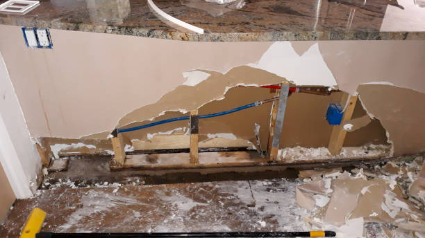 Best Fire Damage Restoration  in Gramercy, LA