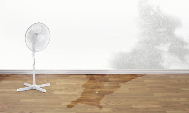 Best 24-hour water damage restoration  in Gramercy, LA