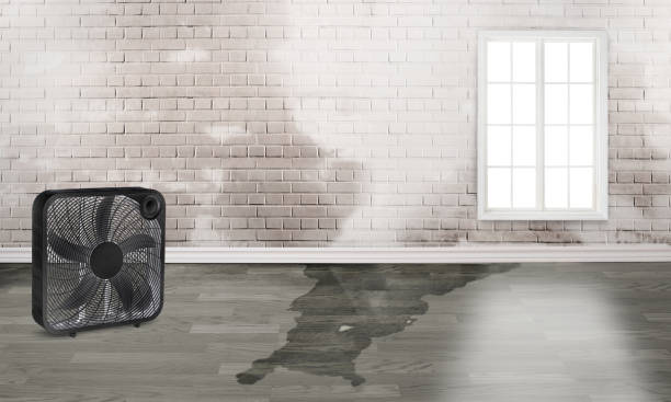 Best Commercial water damage restoration  in Gramercy, LA