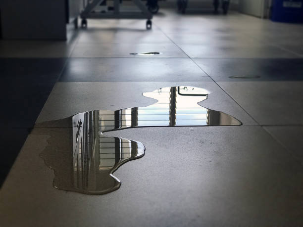 Local water damage restoration in LA