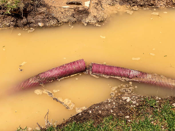 Best Local water damage restoration  in Gramercy, LA