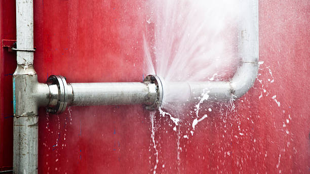 Best Basement water damage restoration  in Gramercy, LA