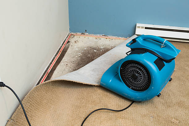 Best Emergency water damage restoration  in Gramercy, LA